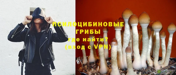 хмурый Нея