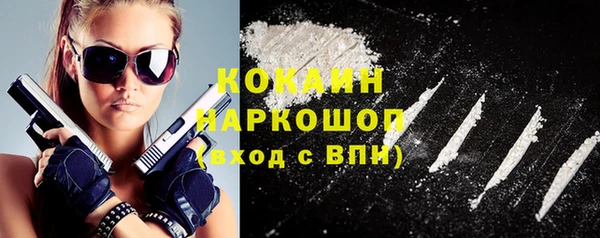хмурый Нея