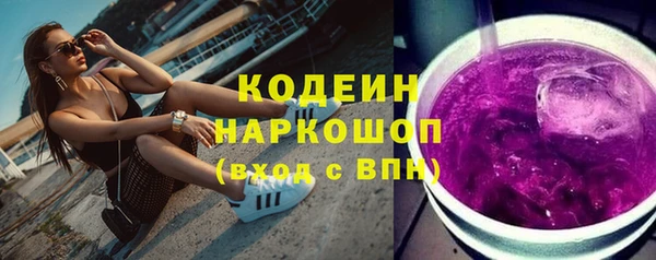 хмурый Нея