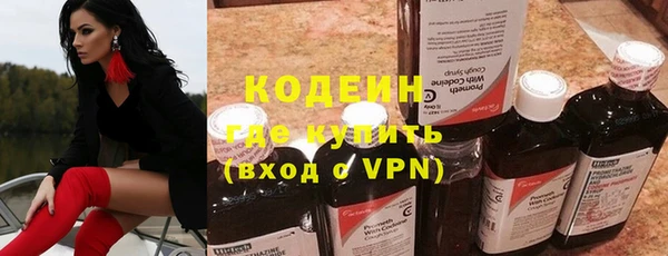 хмурый Нея