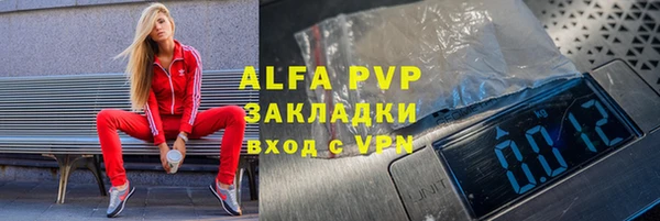 хмурый Нея
